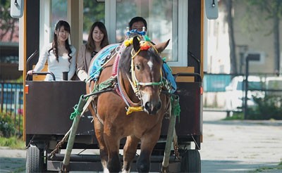 馬車運行