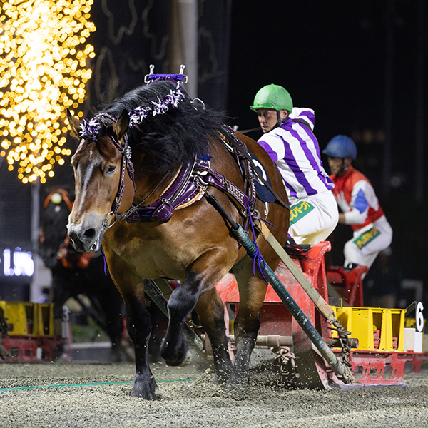 メムロボブサップ