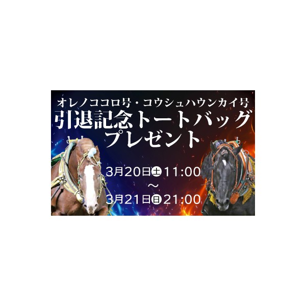 3/20～3/21 オレノココロ号・コウシュハウンカイ号 引退記念トート