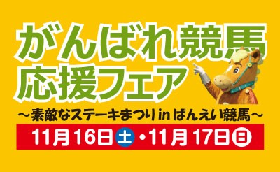 11/16（土）・17（日）　がんばれ競馬応援フェア