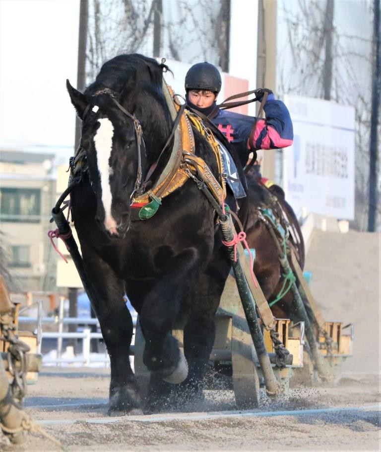 ドオーダッシュ 今月引退 公式 ばんえい十勝