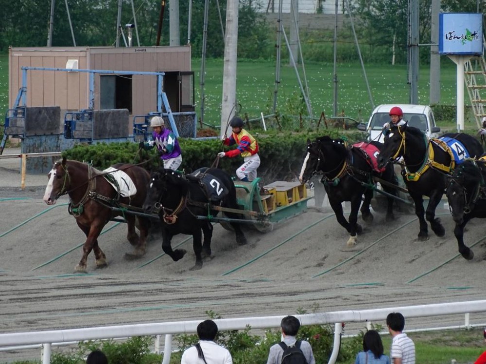 驚きの黒さ 公式 ばんえい十勝