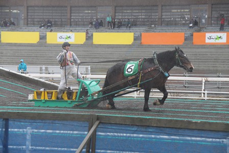 第12r オールマイティ号 02 17 3 公式 ばんえい十勝