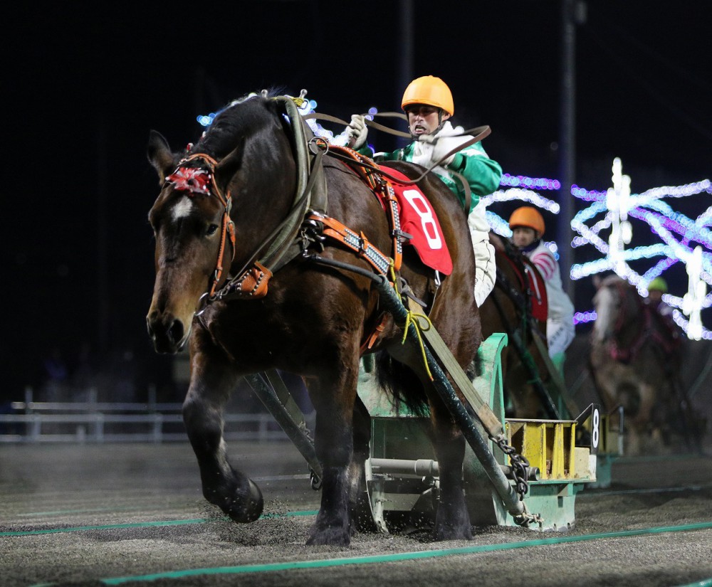 第41回ばんえいオークス」（BG1）結果 | 【公式】ばんえい十勝