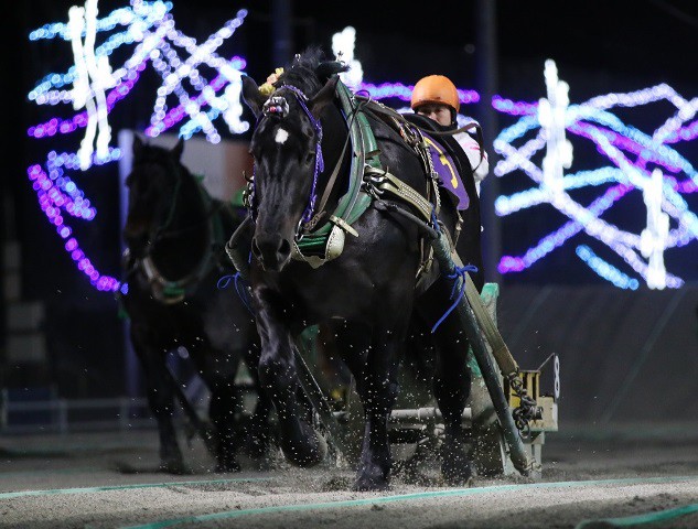 レース結果 第17回ヤングチャンピオンシップ Bg2 結果ｖ 公式 ばんえい十勝