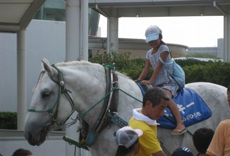 大井競馬場 ｂａｏｏ高崎場外に行ってきました 公式 ばんえい十勝