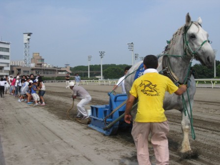 大井競馬場 ｂａｏｏ高崎場外に行ってきました 公式 ばんえい十勝