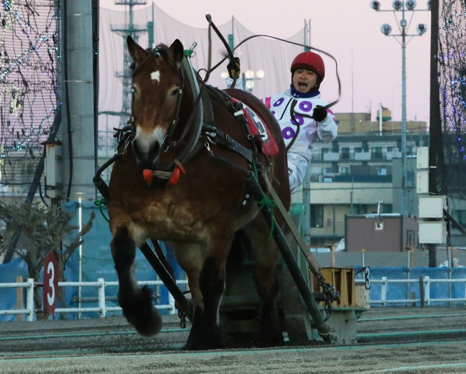 鈴木恵介騎手 通算2,000勝達成！ | 【公式】ばんえい十勝