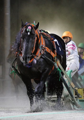 新品　未開封　ばんえい競馬　十勝　ばんえいグランプリ　法被　和　祭り　日本　赤 JGwwfr3O1501472357_l.jpg