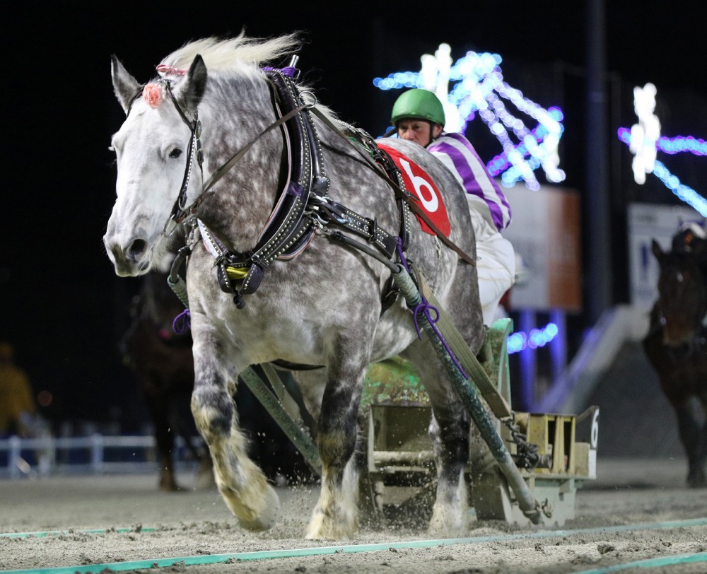 第28回ヒロインズカップ Bg2 結果 公式 ばんえい十勝