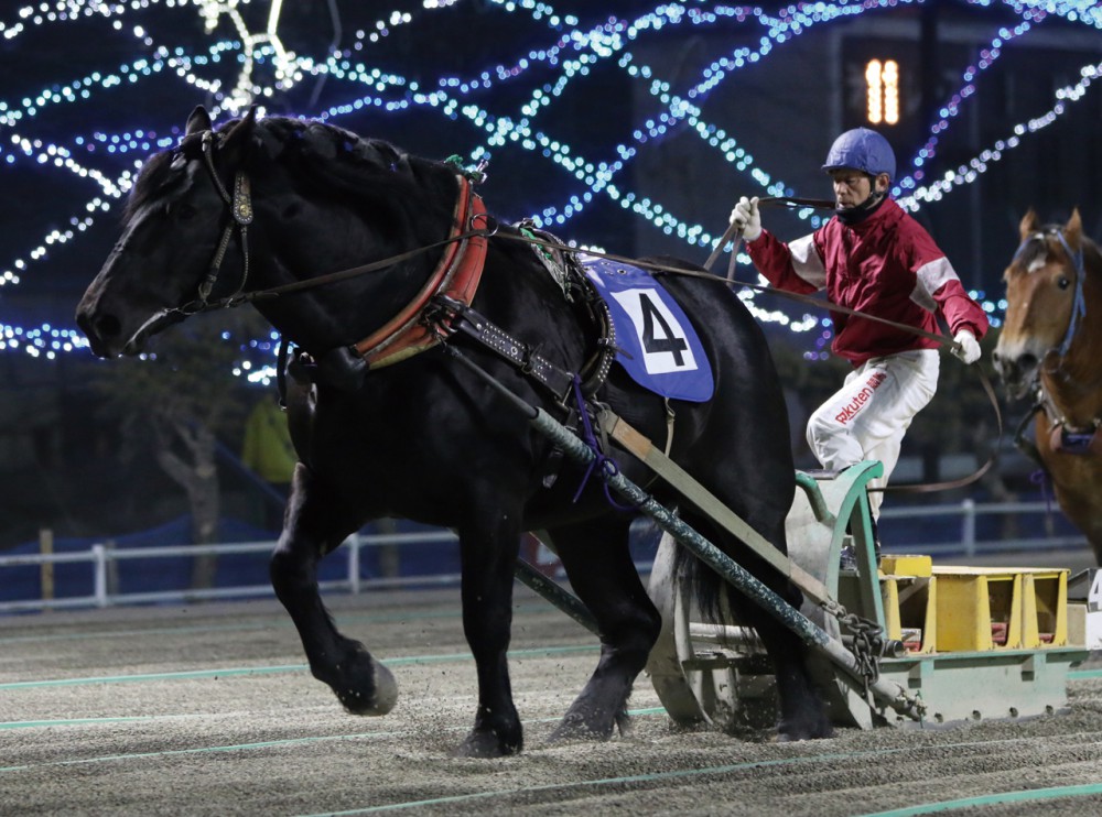 2月29日 土 ばんえい競馬 開催です 公式 ばんえい十勝