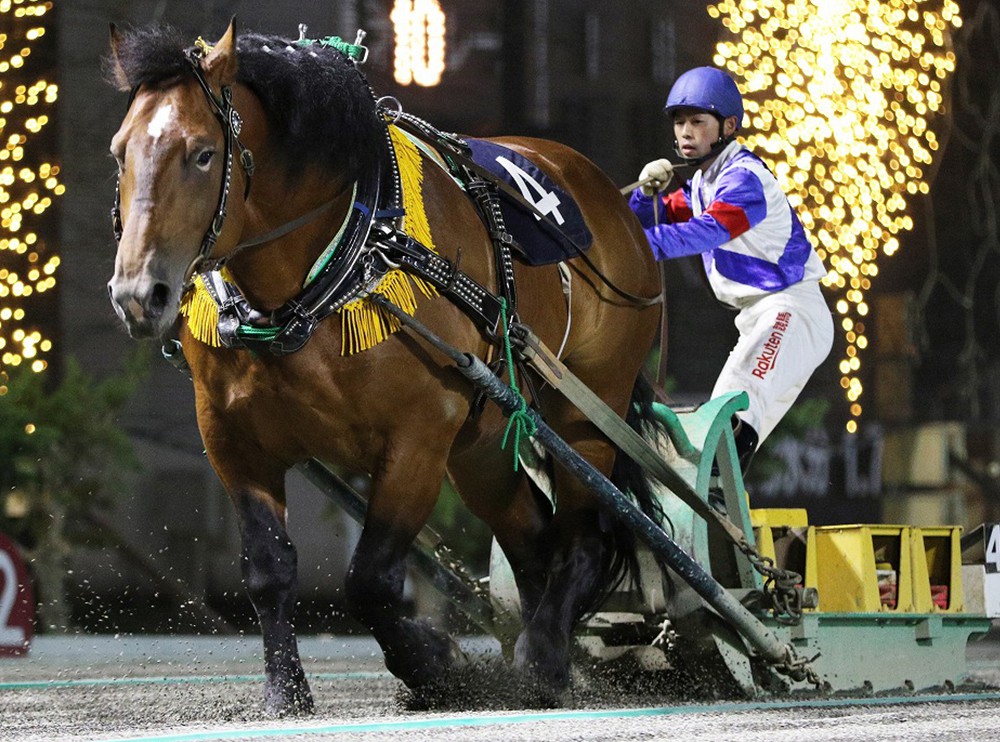 競馬 歴代ばんえい最強馬投票優勝馬 鈴木恵介騎手直筆サイン木箱 証明書入り蹄鉄 ばんえい十勝 on X: 