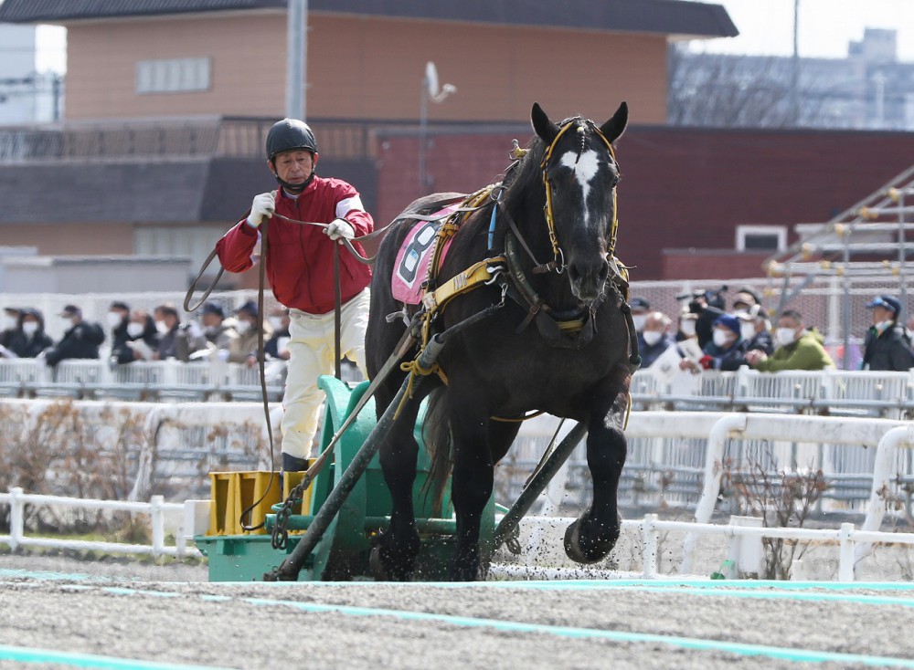 地方競馬水分