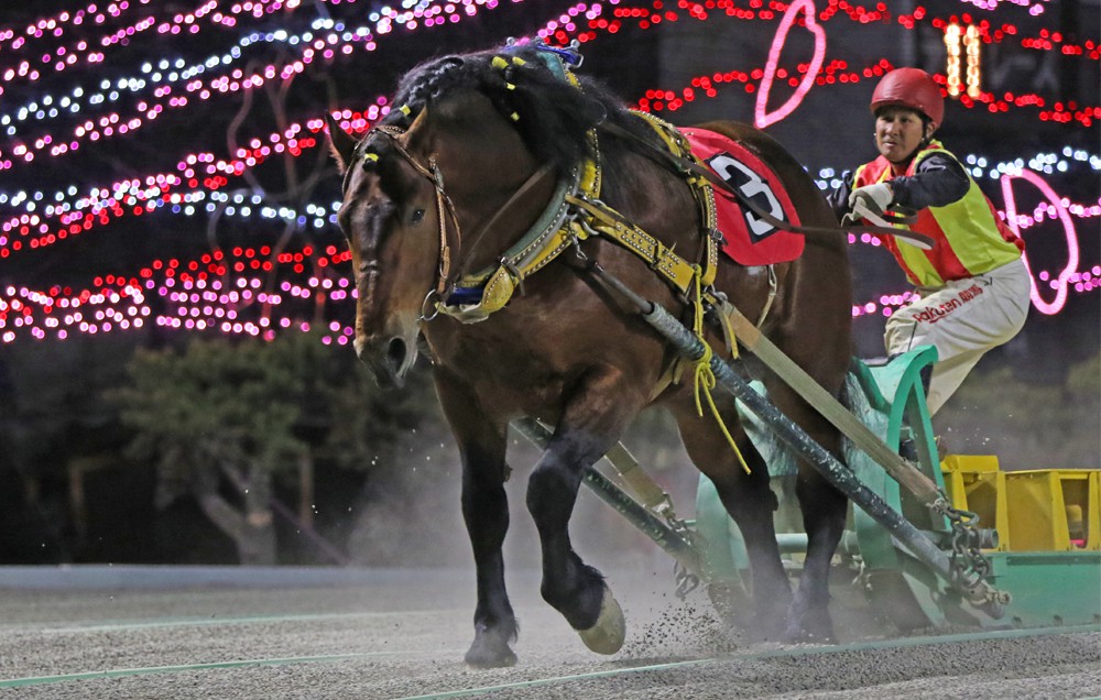 5月3日 日 ばんえい競馬 開催日です 公式 ばんえい十勝