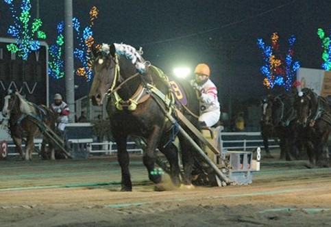 アローファイター号 の死亡について 公式 ばんえい十勝