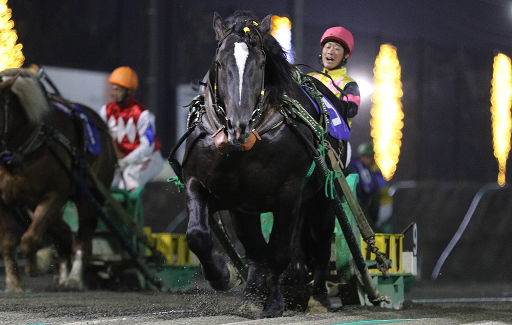 6月22日（月）メインレース騎手コメント ダイリンファイター | 【公式