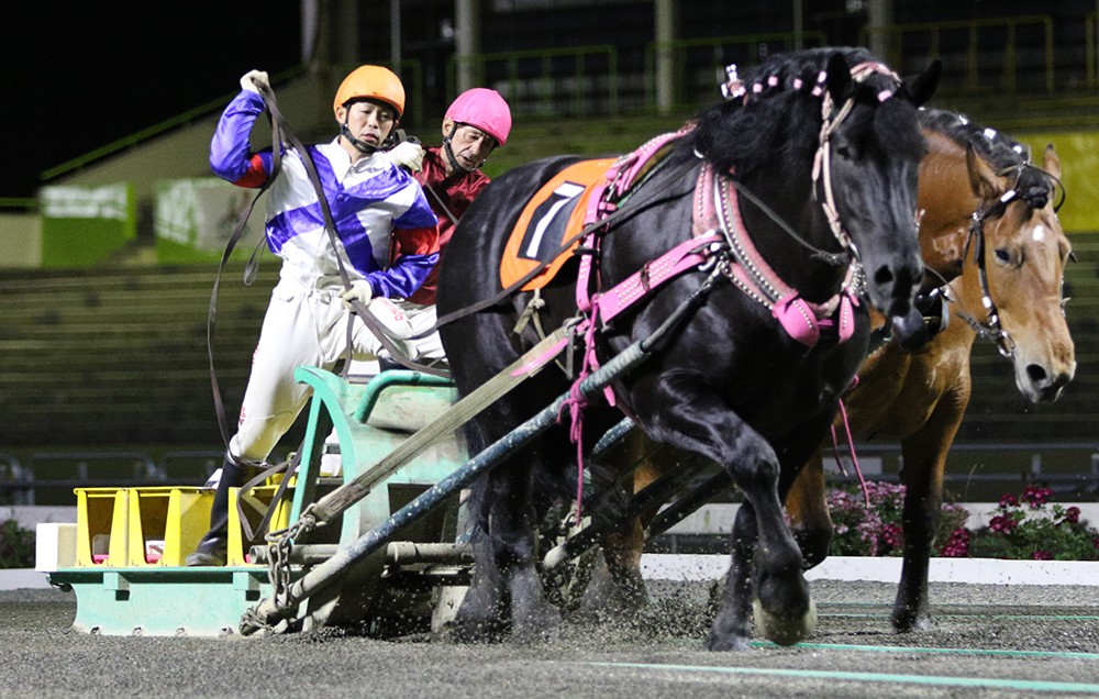 6月28日 日 ばんえい競馬 開催日です 公式 ばんえい十勝 6月28日 日 ばんえい競馬 開催日です 公式 ばんえい十勝