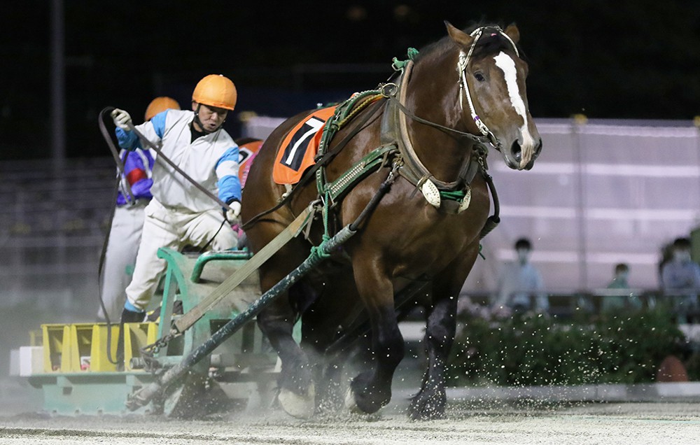 7月27日 月 ばんえい競馬 開催日です 公式 ばんえい十勝