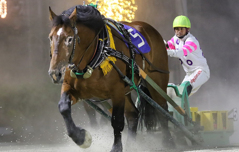 8月1日 土 メインレース騎手コメント センゴクエース 公式 ばんえい十勝