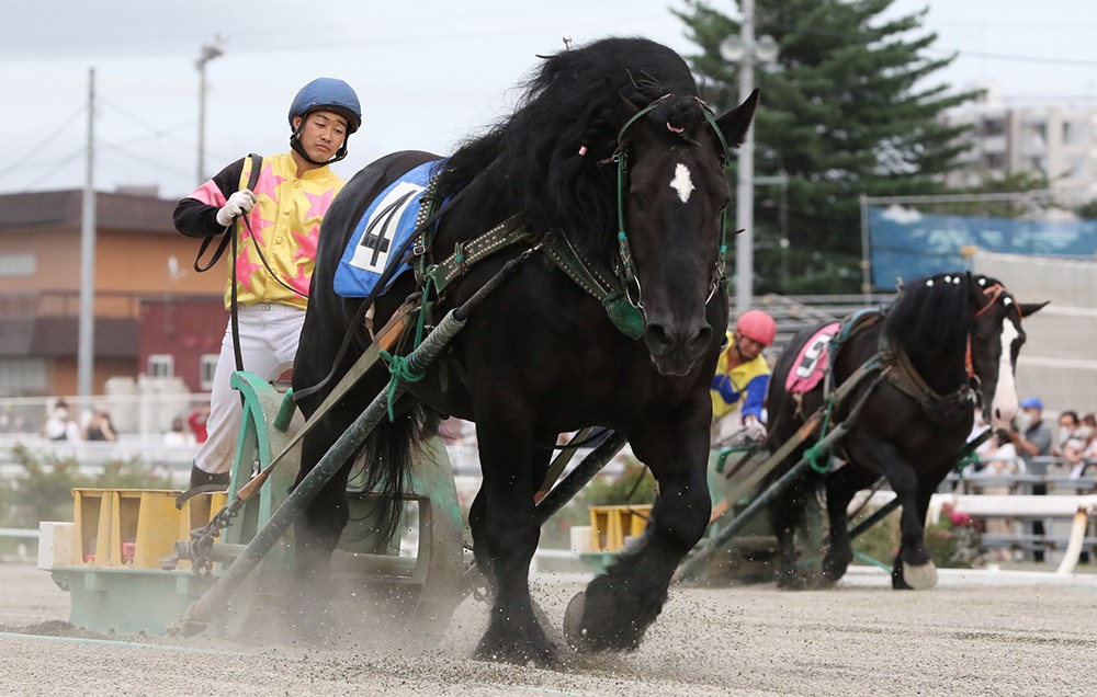 8月10日（月）ばんえい競馬 開催日です | 【公式】ばんえい十勝