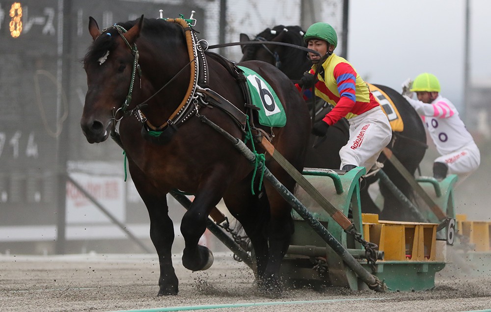 8月10日（月）ばんえい競馬 開催日です | 【公式】ばんえい十勝