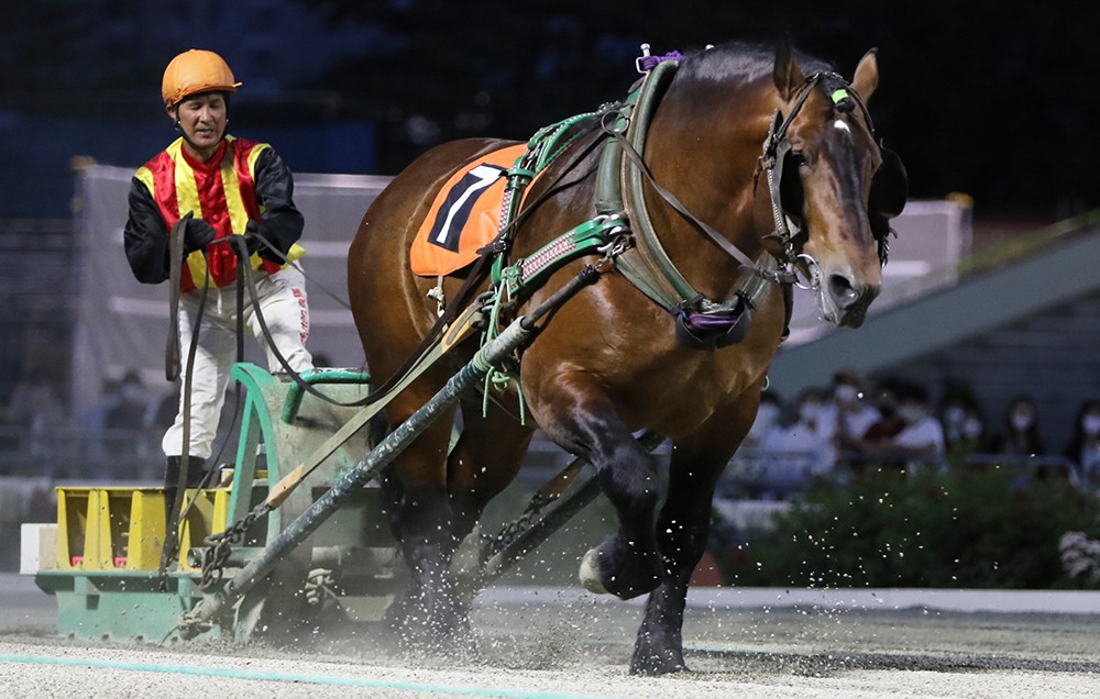 8月10日（月）ばんえい競馬 開催日です | 【公式】ばんえい十勝