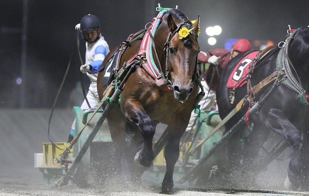 8月10日（月）ばんえい競馬 開催日です | 【公式】ばんえい十勝