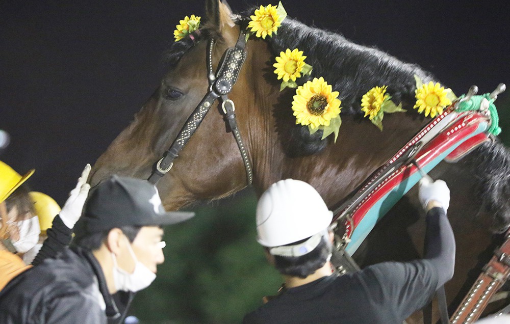 8月10日（月）ばんえい競馬 開催日です | 【公式】ばんえい十勝