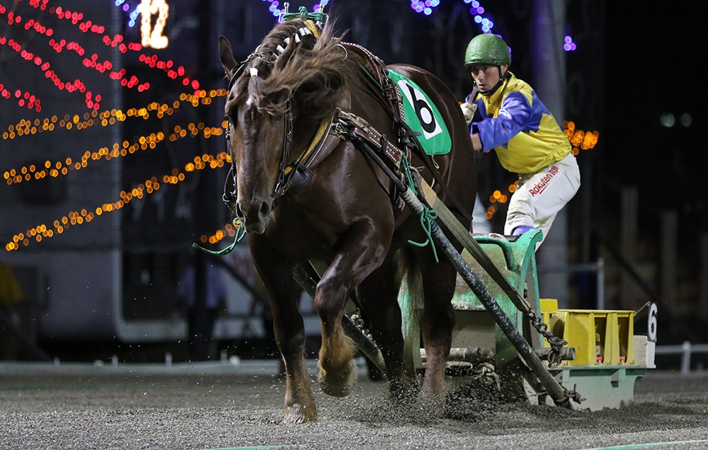 9月6日（日）ばんえい競馬 開催日です | 【公式】ばんえい十勝