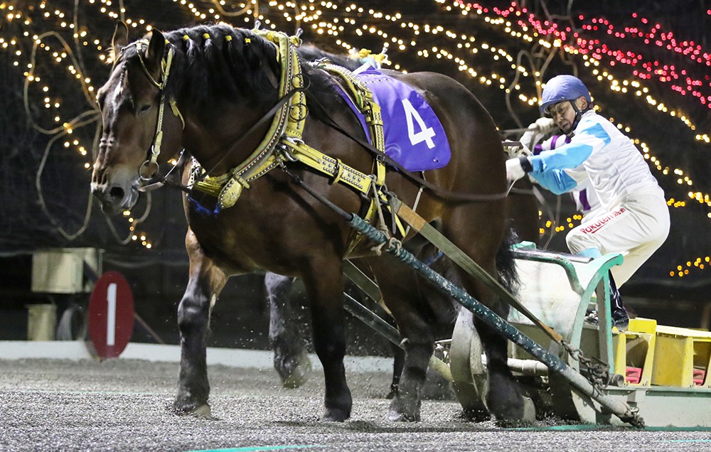 競馬 歴代ばんえい最強馬投票優勝馬 鈴木恵介騎手直筆サイン木箱 証明書入り蹄鉄 常勝を義務づけられた希代の名騎手～鈴木恵介～ | 電子版