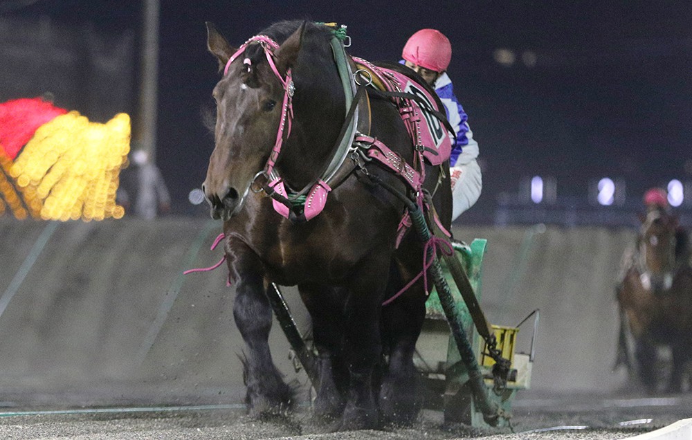 10月18日 日 ばんえい競馬 開催日です 公式 ばんえい十勝 10月18日 日 ばんえい競馬 開催日です 公式 ばんえい十勝