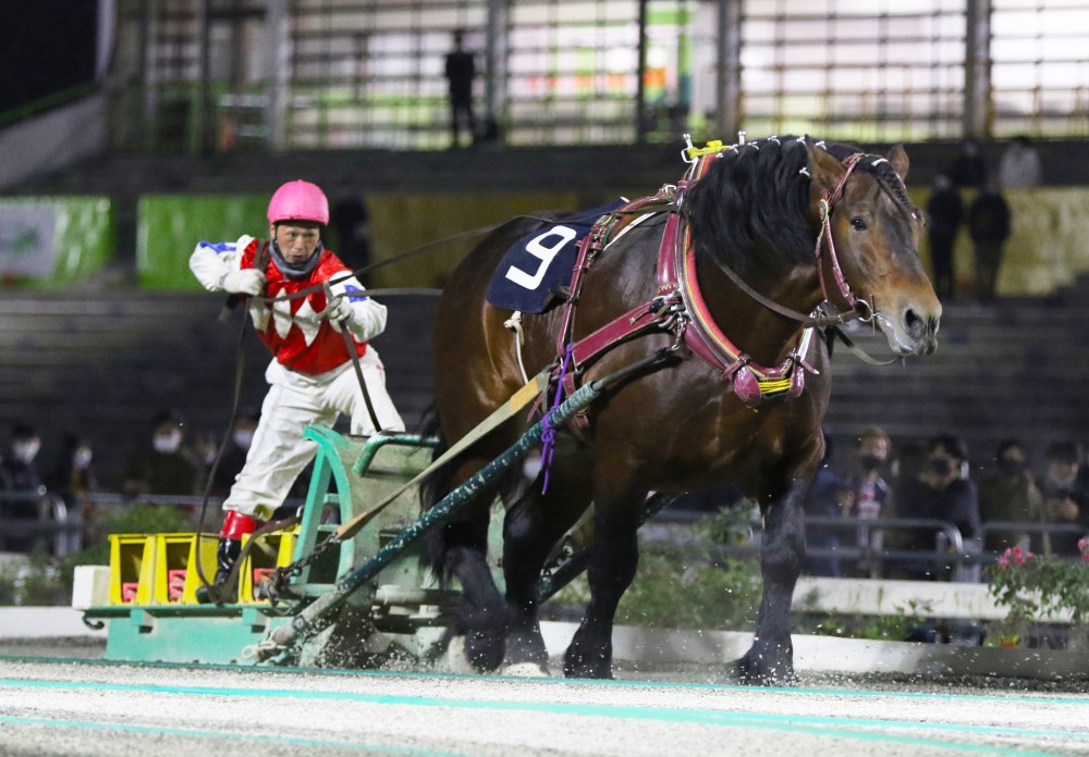 第41回北見記念 Bg2 の結果 公式 ばんえい十勝