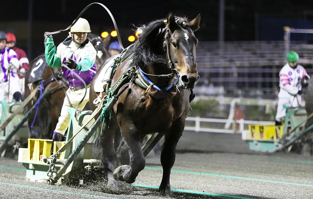 11月21日 土 ばんえい競馬 開催日です 公式 ばんえい十勝