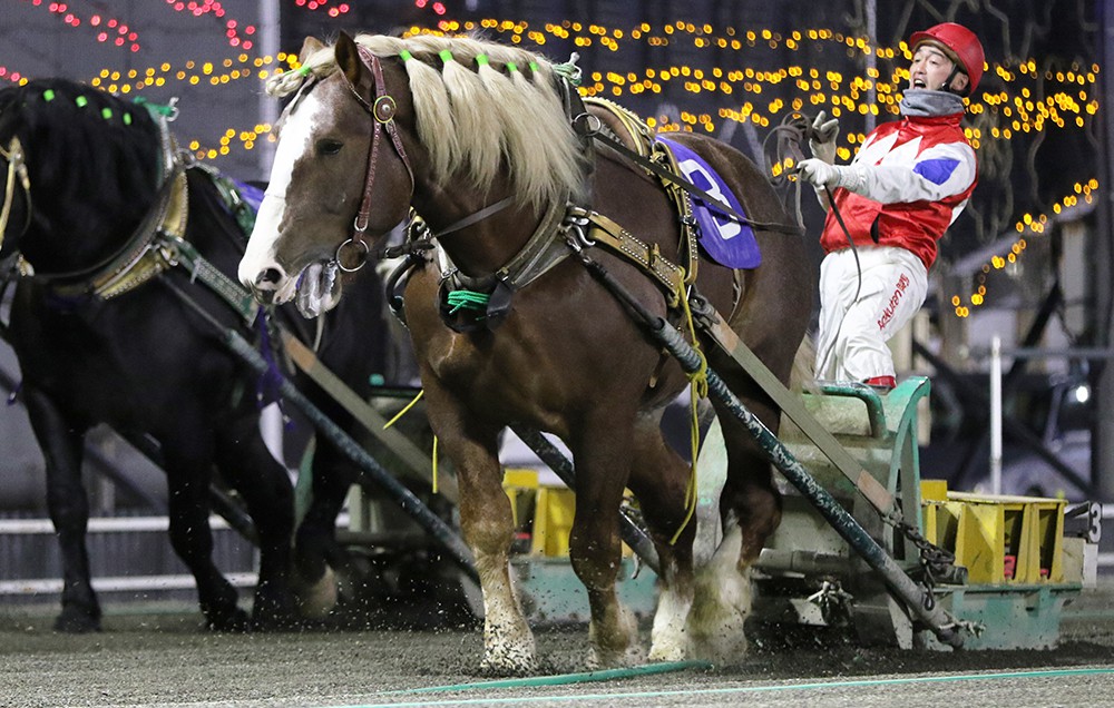 11月23日（月）メインレース騎手コメント アオノゴッド | 【公式