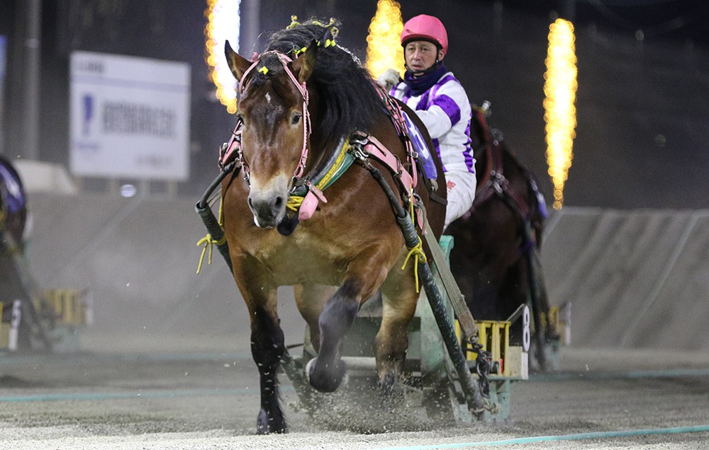 12月21日（月）ばんえい競馬 開催日です | 【公式】ばんえい十勝