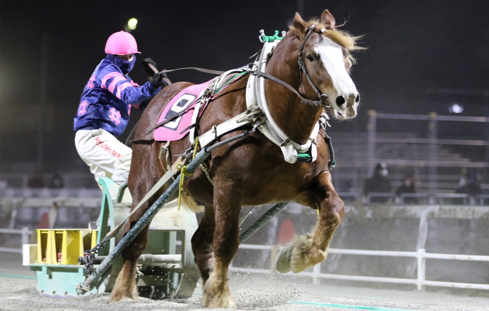 12月29日 火 ばんえい競馬 開催日です 公式 ばんえい十勝