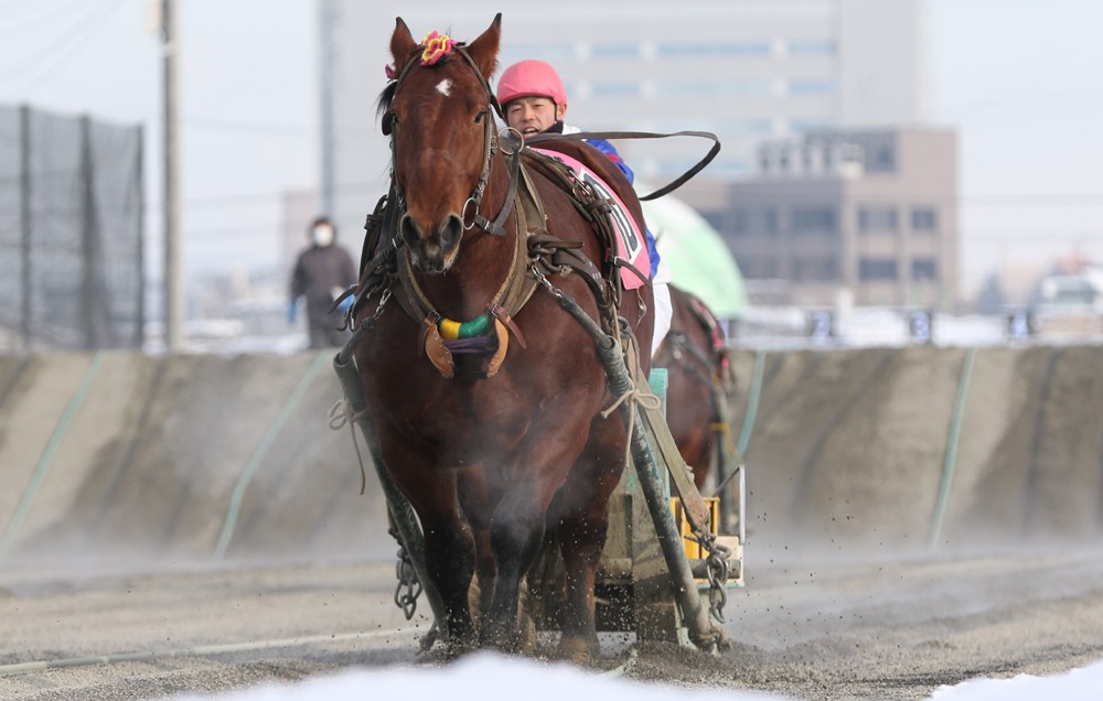 1月18日 月 ばんえい競馬 開催日です 公式 ばんえい十勝