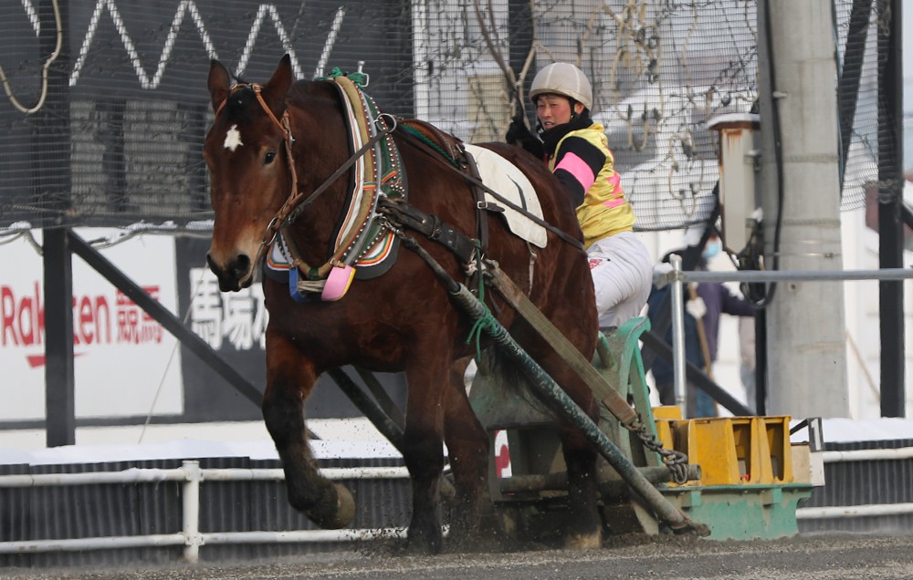 1月18日 月 ばんえい競馬 開催日です 公式 ばんえい十勝