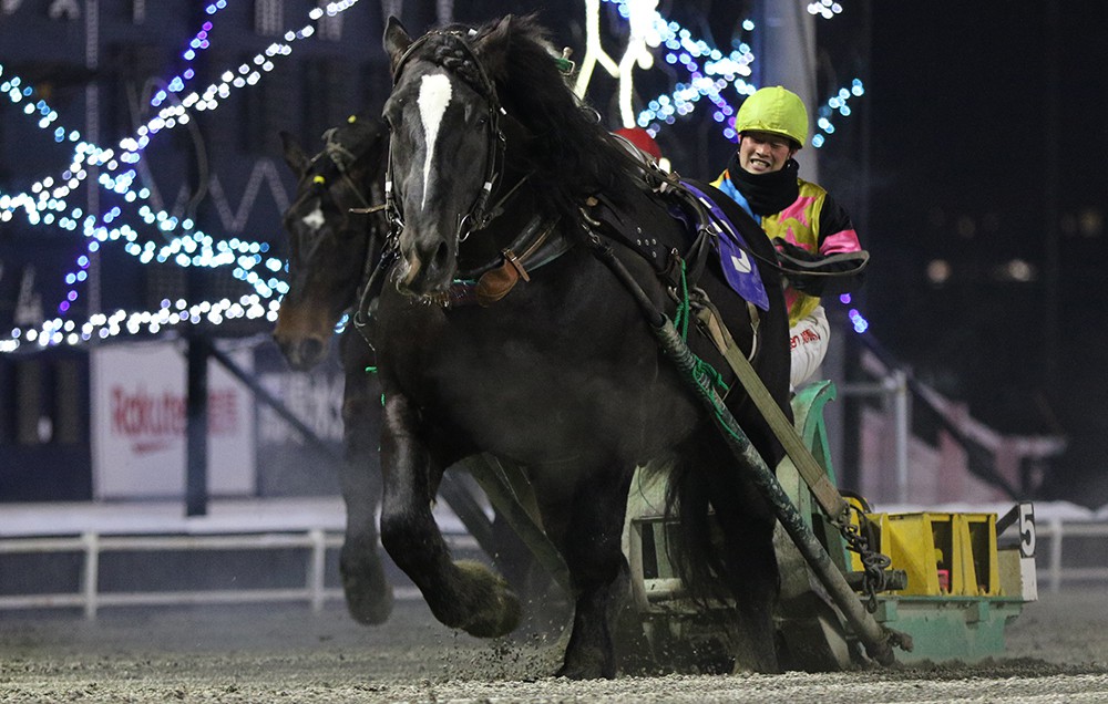 鐵騎馬會（鉄騎馬会） ばんえい競馬・北見記念】タカラキングダム重賞7勝目 赤塚健仁騎手