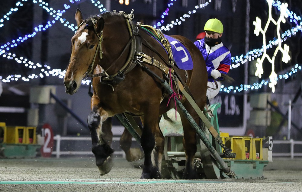 2月8日（月）メインレース騎手コメント ヤマトタイコー | 【公式