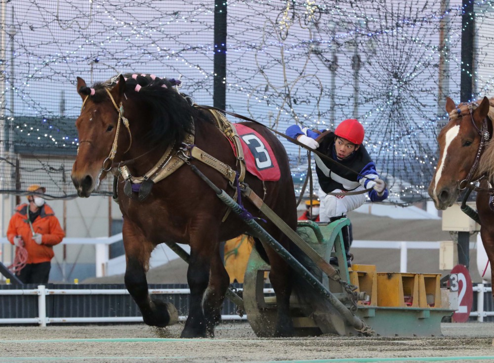 ばん馬の戦場―北海道ばんえい競馬追跡行 (MIZUKI NONFICTION S 逃げろ北へ。希望のひかりはばんえい競馬！『輓馬』鳴海章
