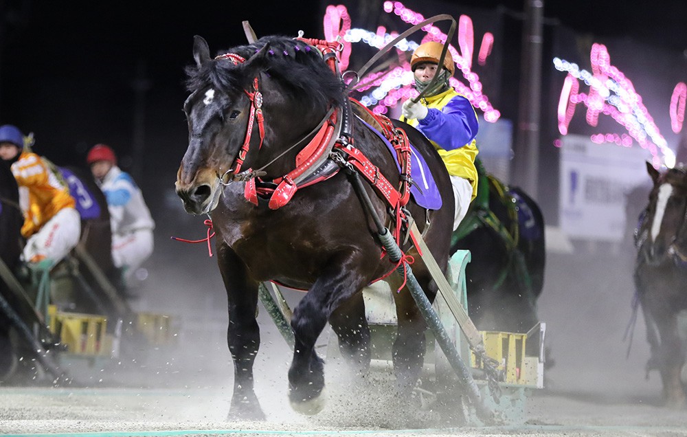 3月8日 月 メインレース騎手コメント カンシャノココロ 公式 ばんえい十勝