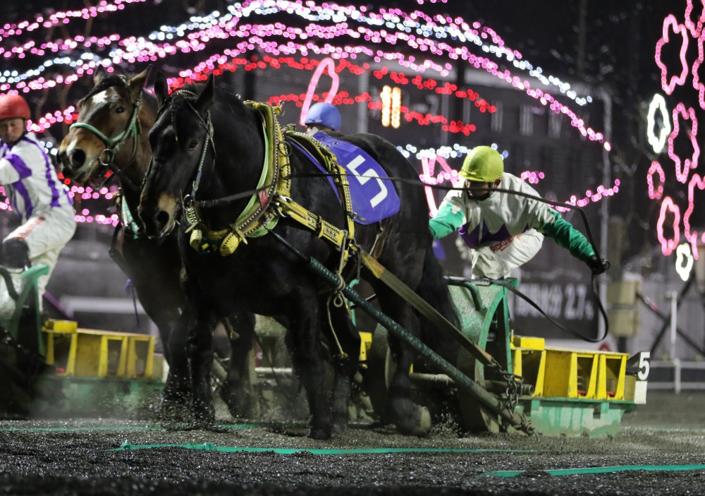 3月21日 日 ばんえい競馬 開催日です 公式 ばんえい十勝