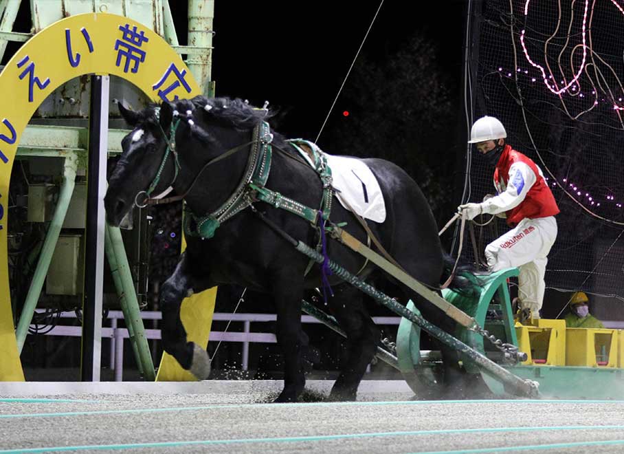 5月3日 月 ばんえい競馬 開催日です 公式 ばんえい十勝