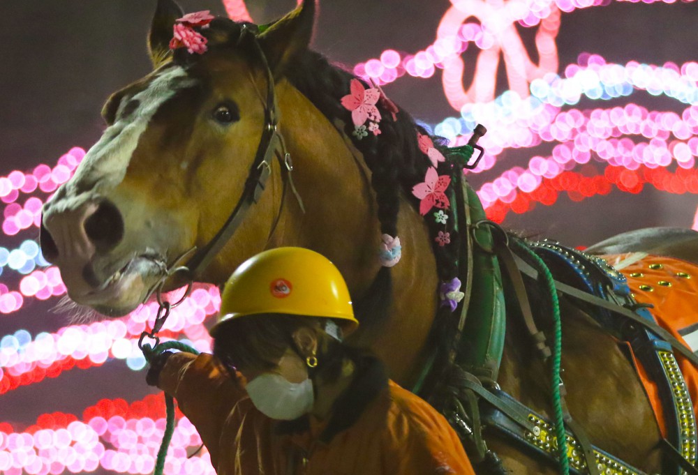 5月8日（土）ばんえい競馬 開催日です | 【公式】ばんえい十勝