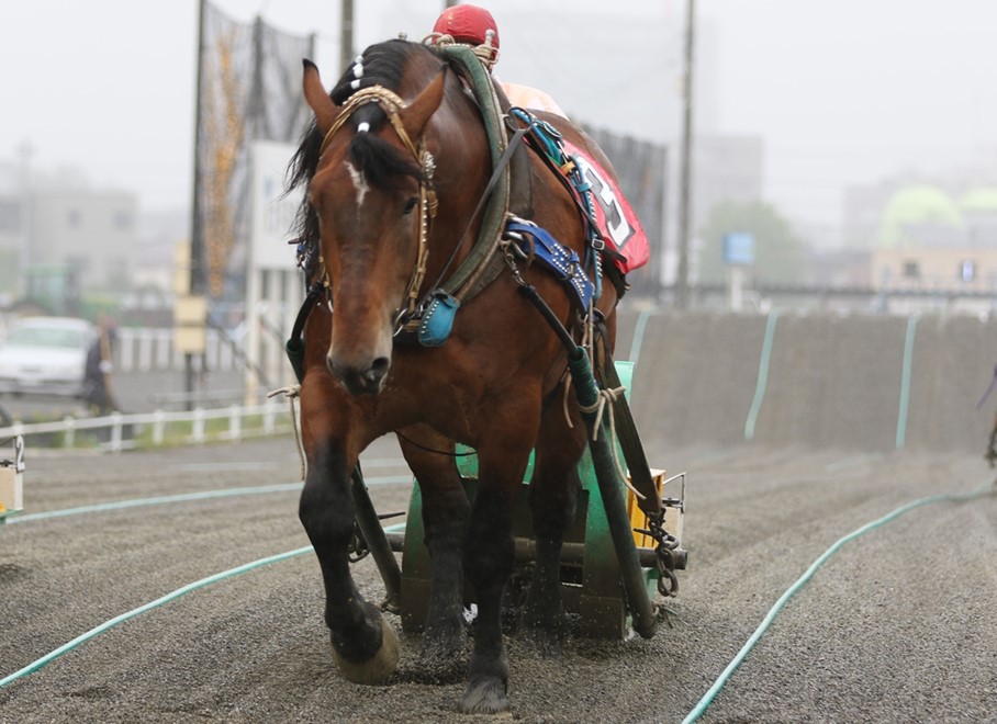 7月5日（月）ばんえい競馬 開催日です | 【公式】ばんえい十勝