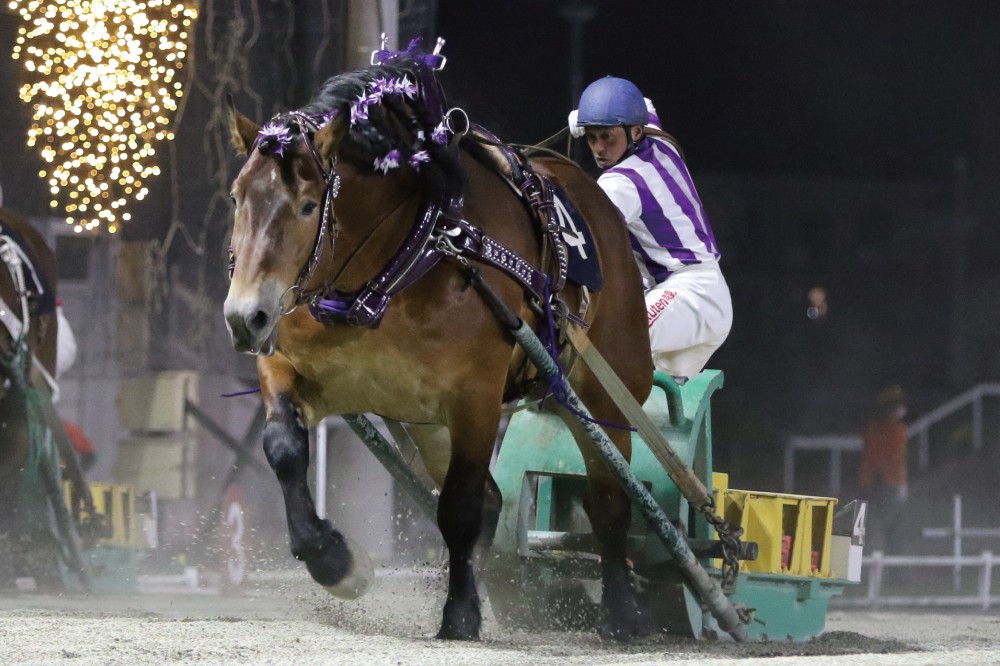 8月15日 日 ばんえい競馬 開催日です 公式 ばんえい十勝