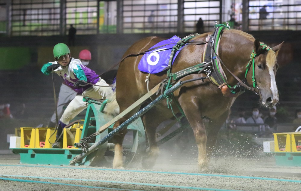 8月16日 月 ばんえい競馬 開催日です 公式 ばんえい十勝