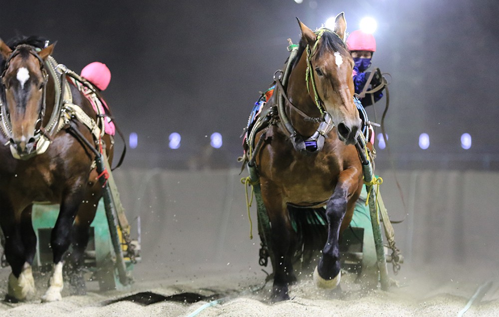 8月16日 月 ばんえい競馬 開催日です 公式 ばんえい十勝