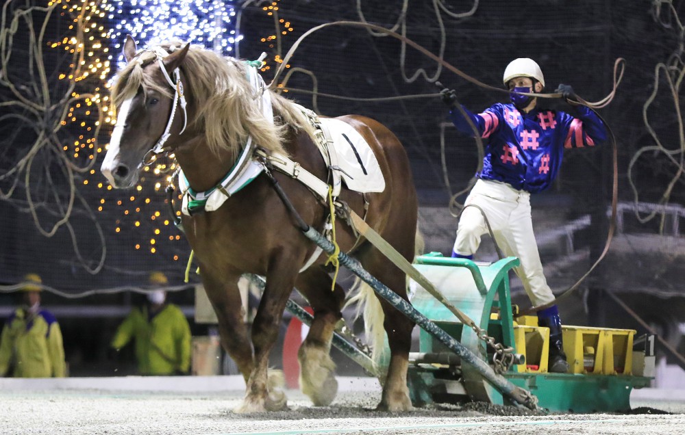 8月28日（土）ばんえい競馬 開催日です | 【公式】ばんえい十勝